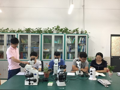 图片关键词
